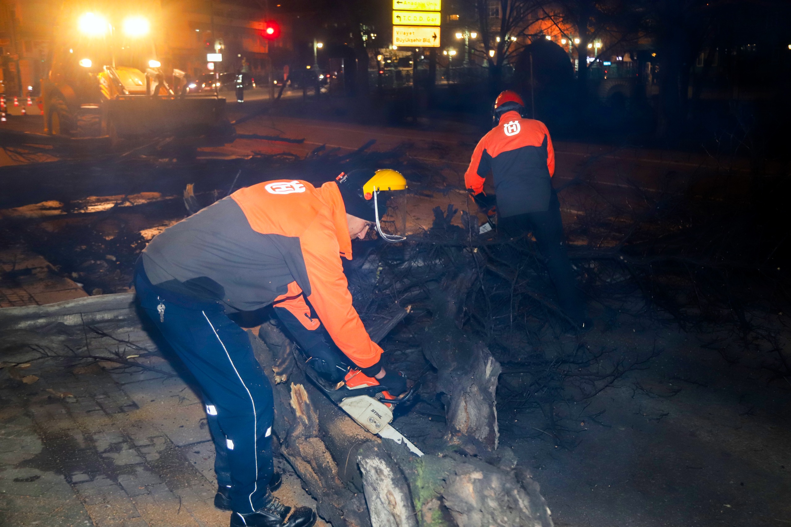 Eskişehir’de devrilme riski taşıyan ağaçları kaldırma çalışmaları başladı