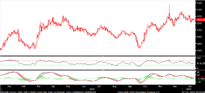 FX analizi