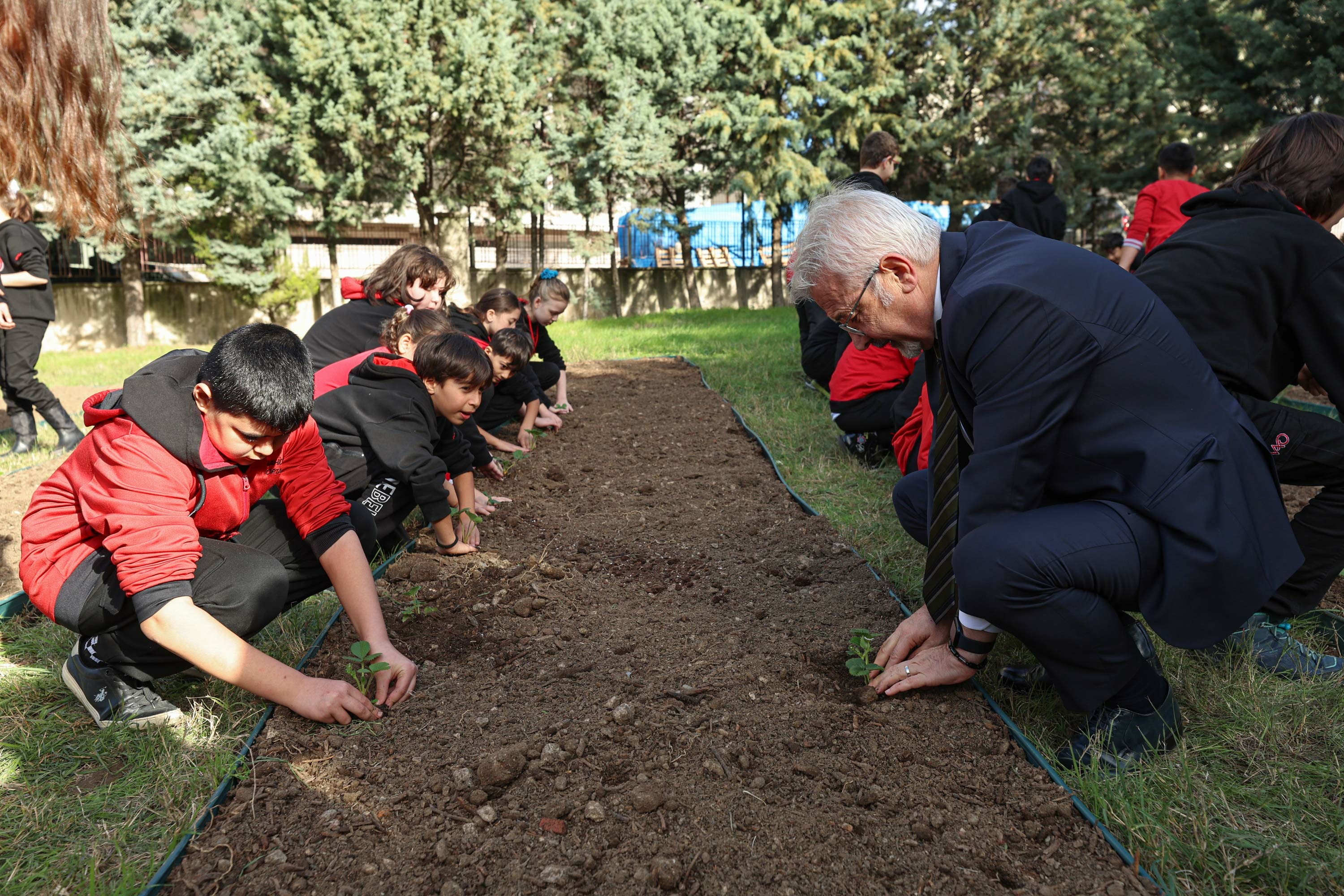 Başkan Erdem, öğrencilerle çilek ve marul fidesi dikti