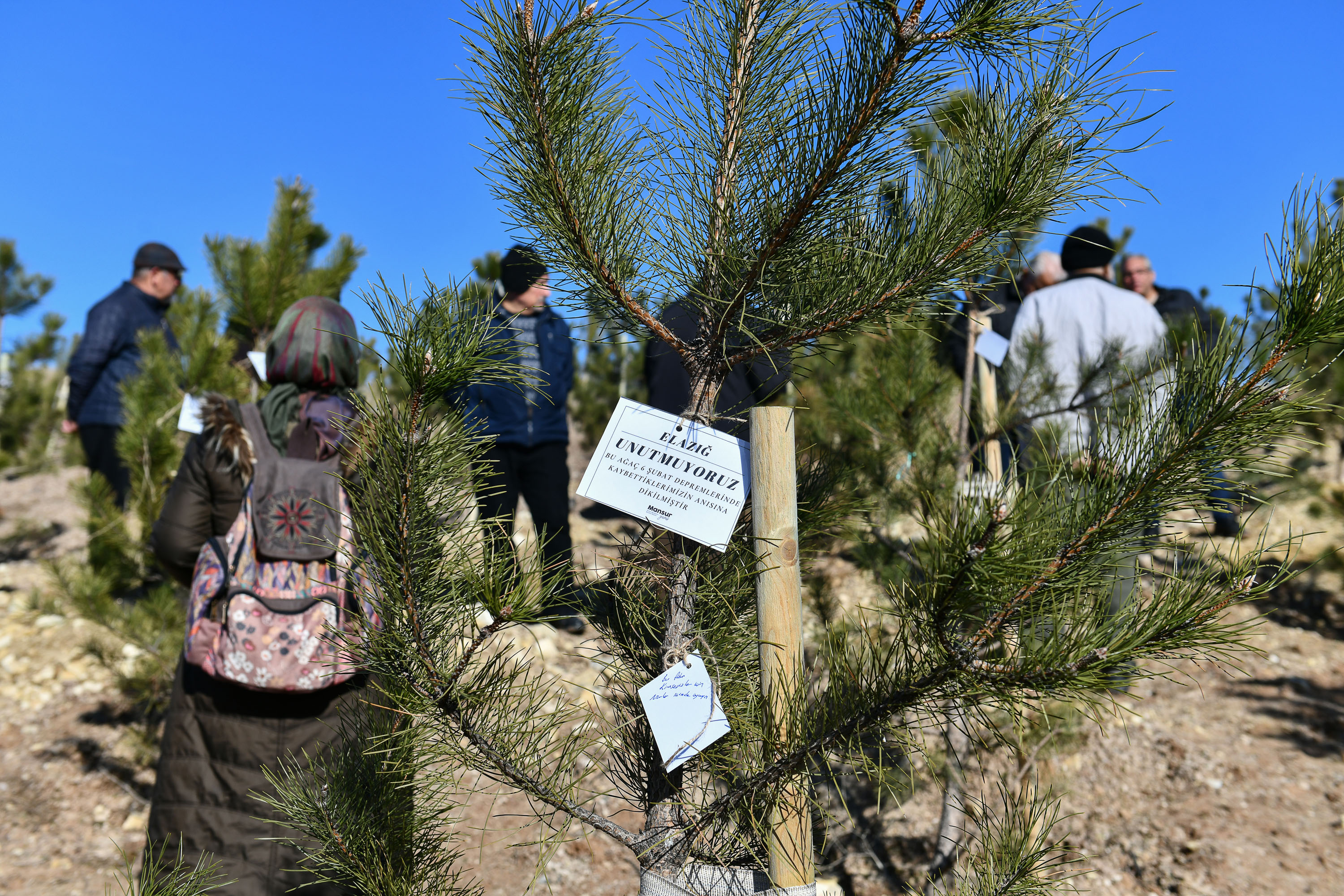 Ankara’da 6 şubat depremi anısına hatıra ormanı oluşturuldu