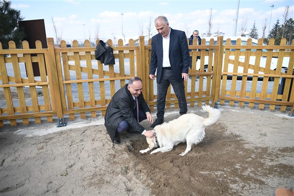 Kayseri Büyükşehir’in Köpek Eğitim Parkuru hizmet vermeye başlıyor