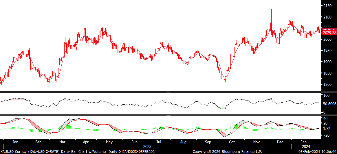 Fx analizi