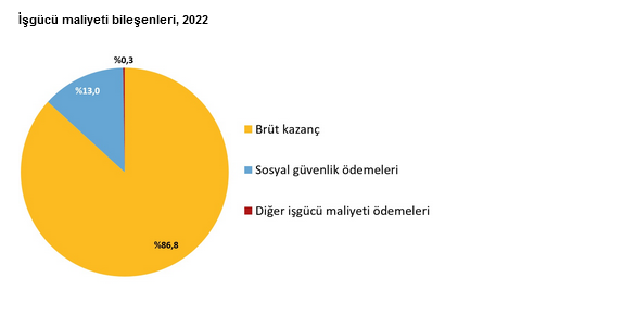 YENİLEME-TÜİK- 2022 yılında aylık ortalama işgücü maliyeti 11 bin 602 TL oldu