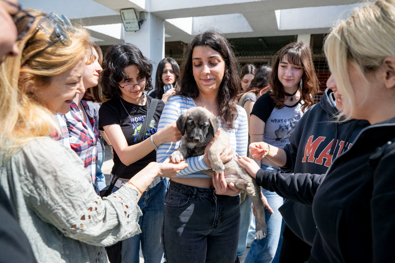 İzmir Büyükşehir Belediyesi, 4 Nisan Dünya Sokak Hayvanları Günü’nü PAKO’da kutladı