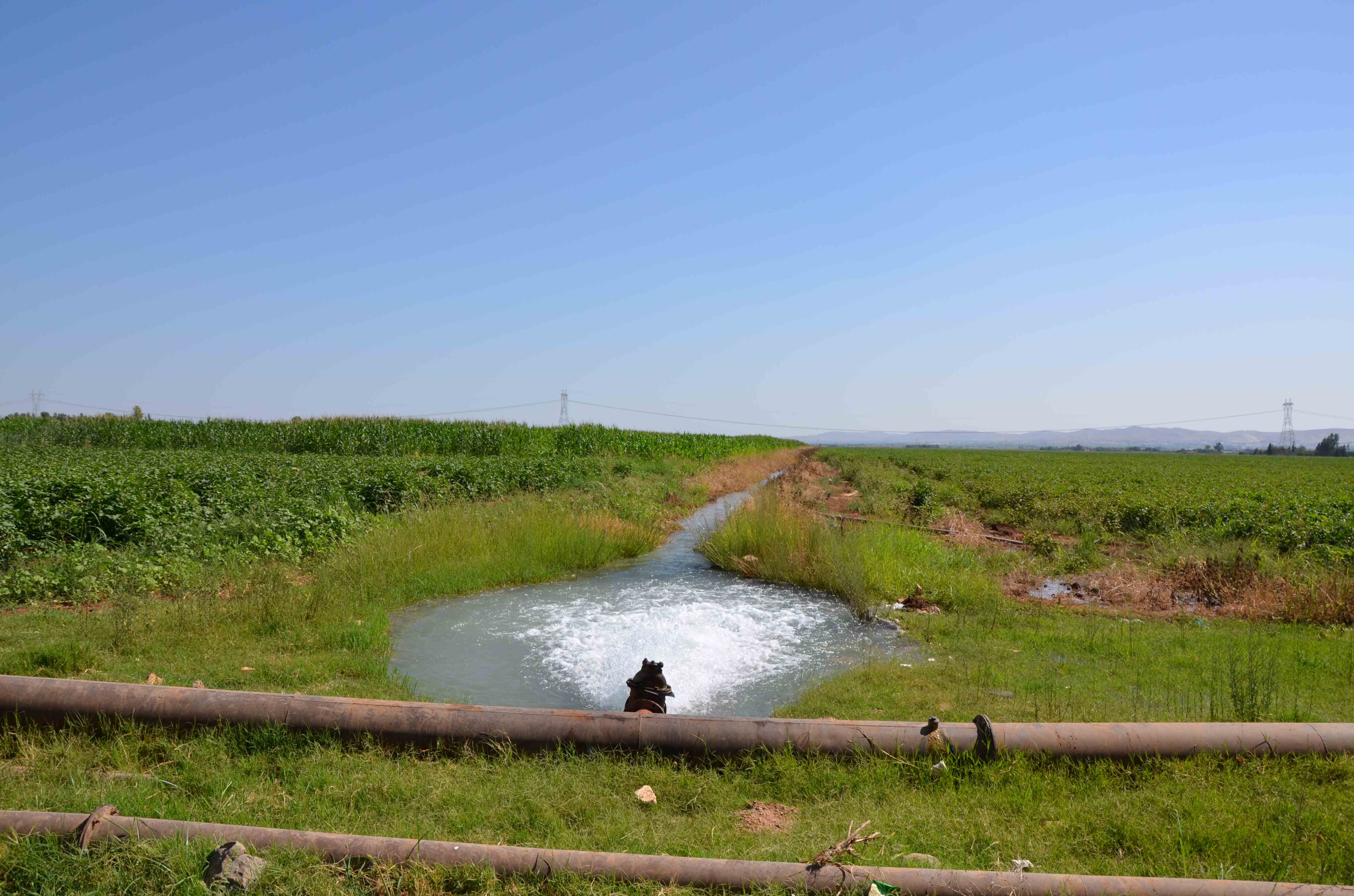 Dicle Elektrik: Borcunu ödemeyen aboneye elektrik verilmeyecek