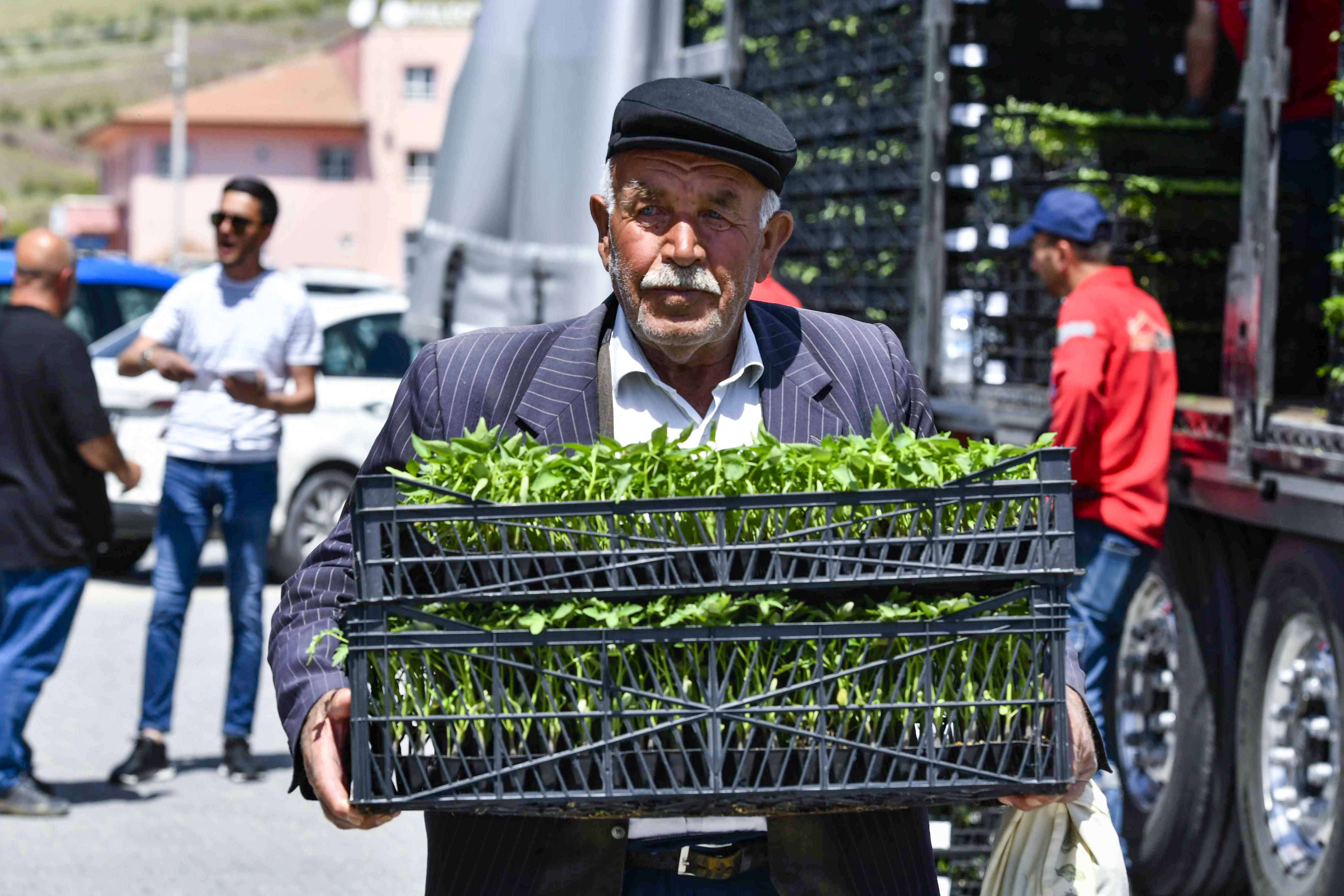 Ankara’da sebze fidesi desteğinin dağıtımına başlandı