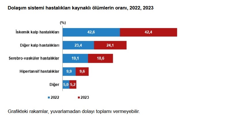 TÜİK- Türkiye’de ölüm sayısı 2023 yılında 4,1 artarak 525 bin 814’e yükseldi