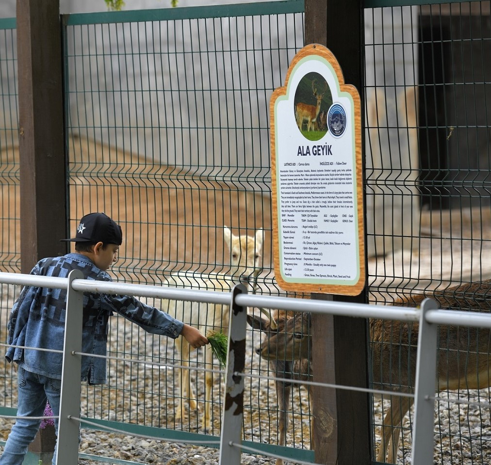 Kayseri’de Hayvanat Bahçesi, Kurban Bayramı’nda ücretsiz olacak