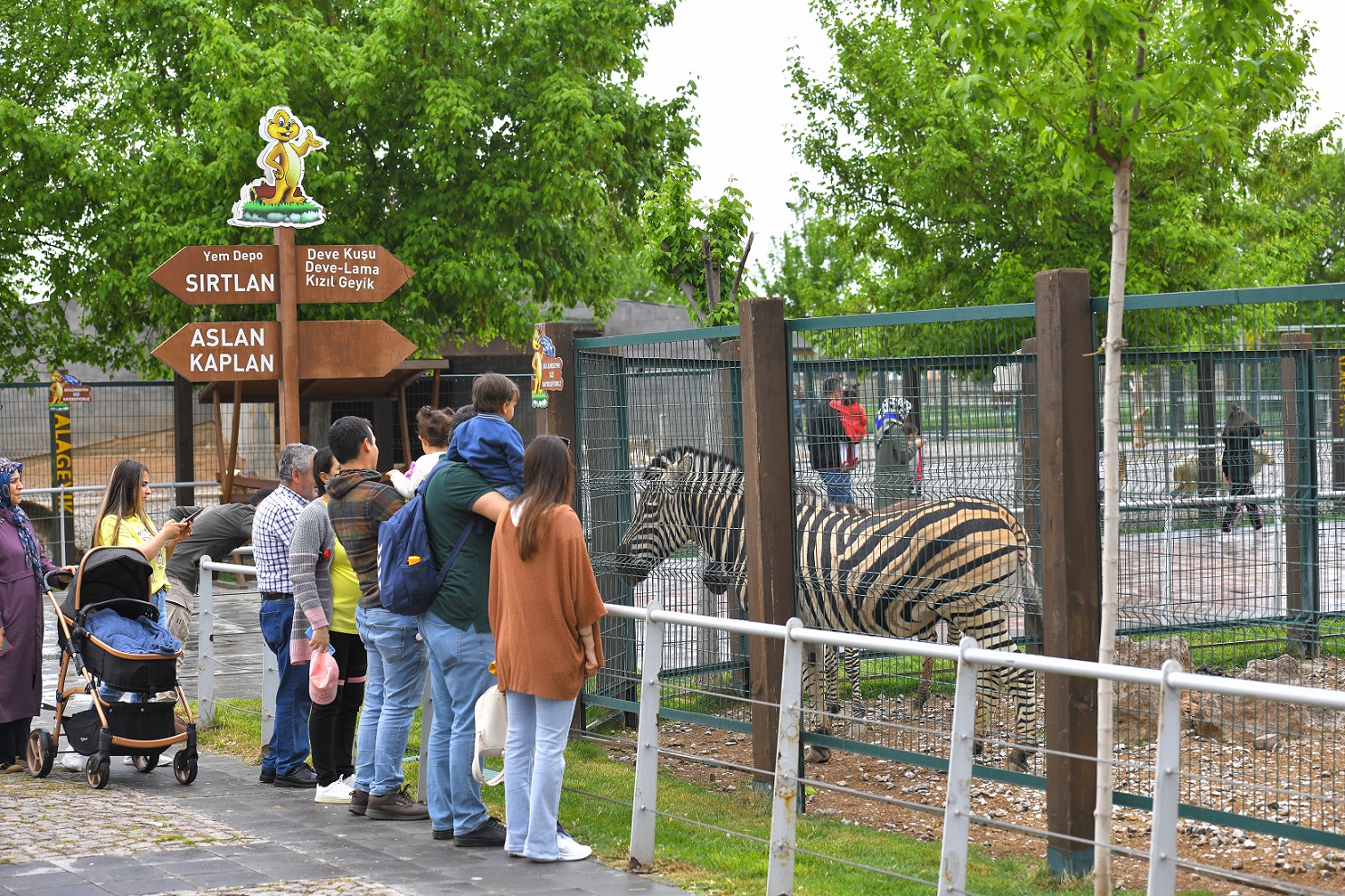 Kayseri’de Hayvanat Bahçesi, Kurban Bayramı’nda ücretsiz olacak