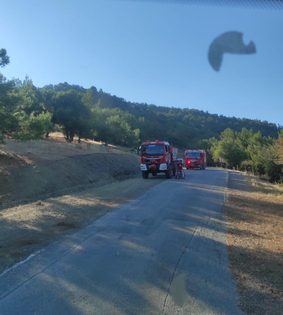 İzmir’deki yangın kontrol altına alındı