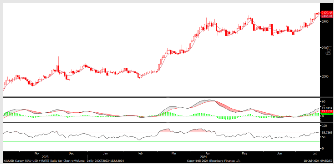 FX analizi