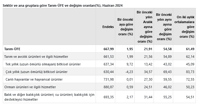 TÜİK-Tarım ürünleri üretici fiyatları Haziran’da yıllık yüzde 54,58 aylık yüzde 1,95 arttı