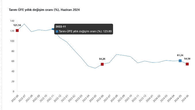 TÜİK-Tarım ürünleri üretici fiyatları Haziran’da yıllık yüzde 54,58 aylık yüzde 1,95 arttı