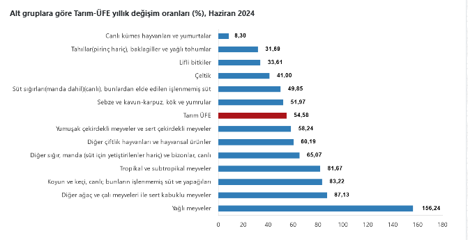 TÜİK-Tarım ürünleri üretici fiyatları Haziran’da yıllık yüzde 54,58 aylık yüzde 1,95 arttı