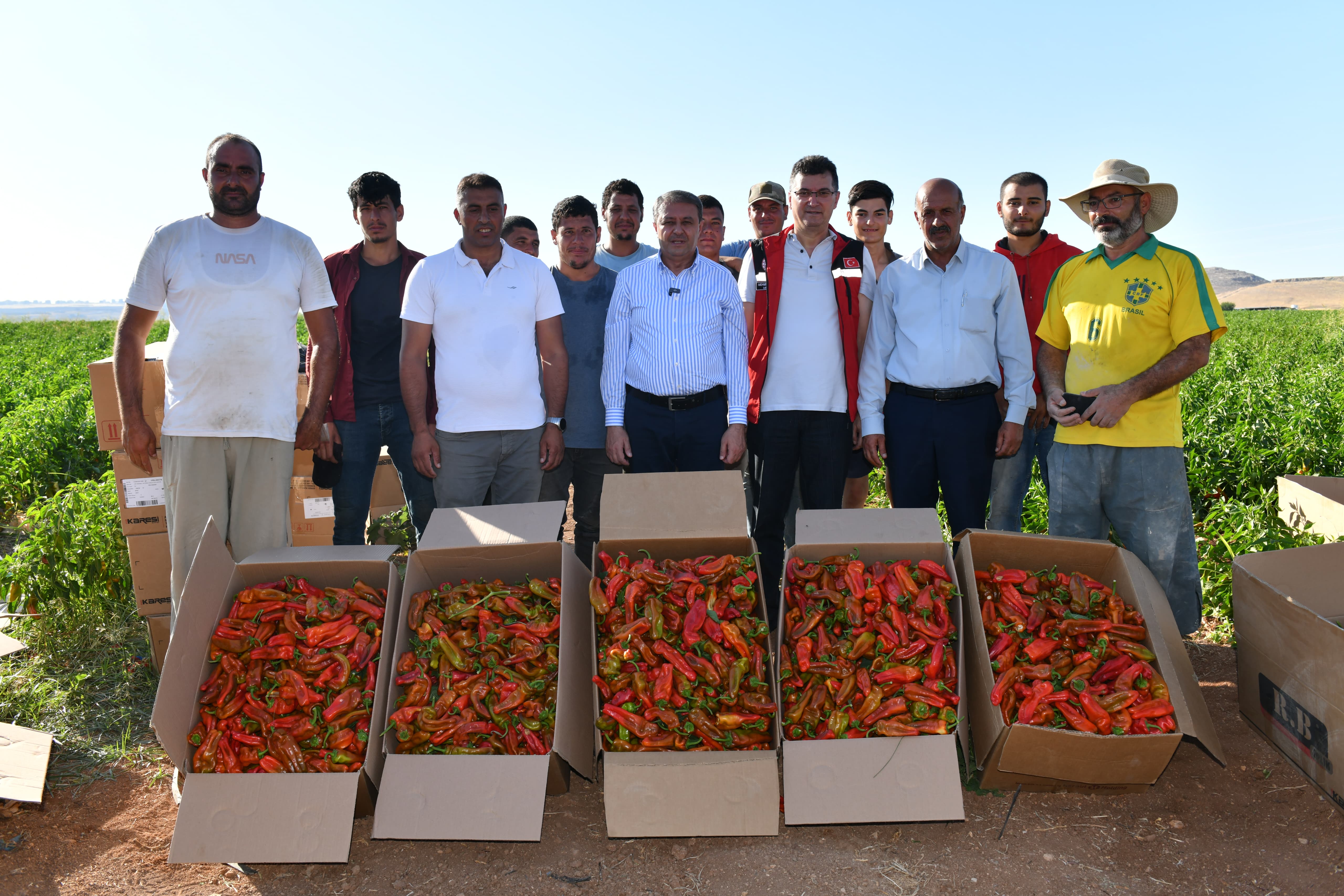 Şanlıurfa Valisi Şıldak biber hasadına katıldı