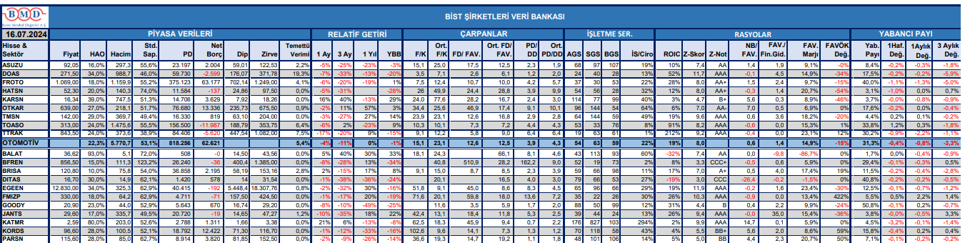 BİST şirketleri veri bankası 16.07.2024