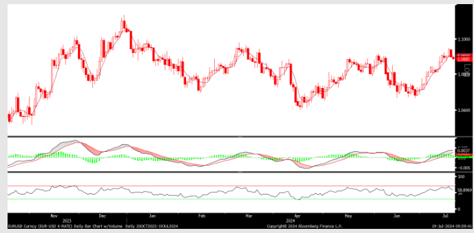 FX analizi