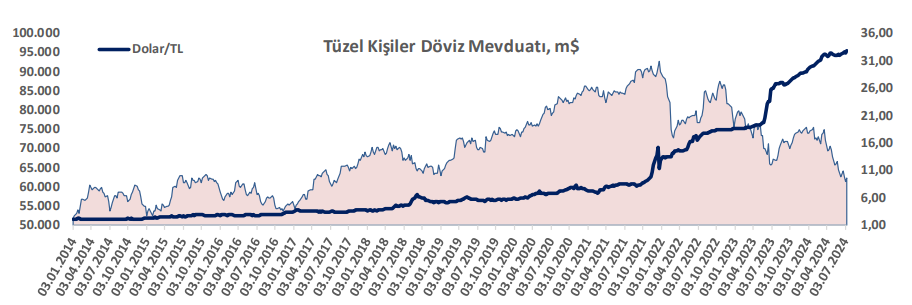 Yurt içi yerleşiklerin döviz mevduat hareketleri 19.07.2024