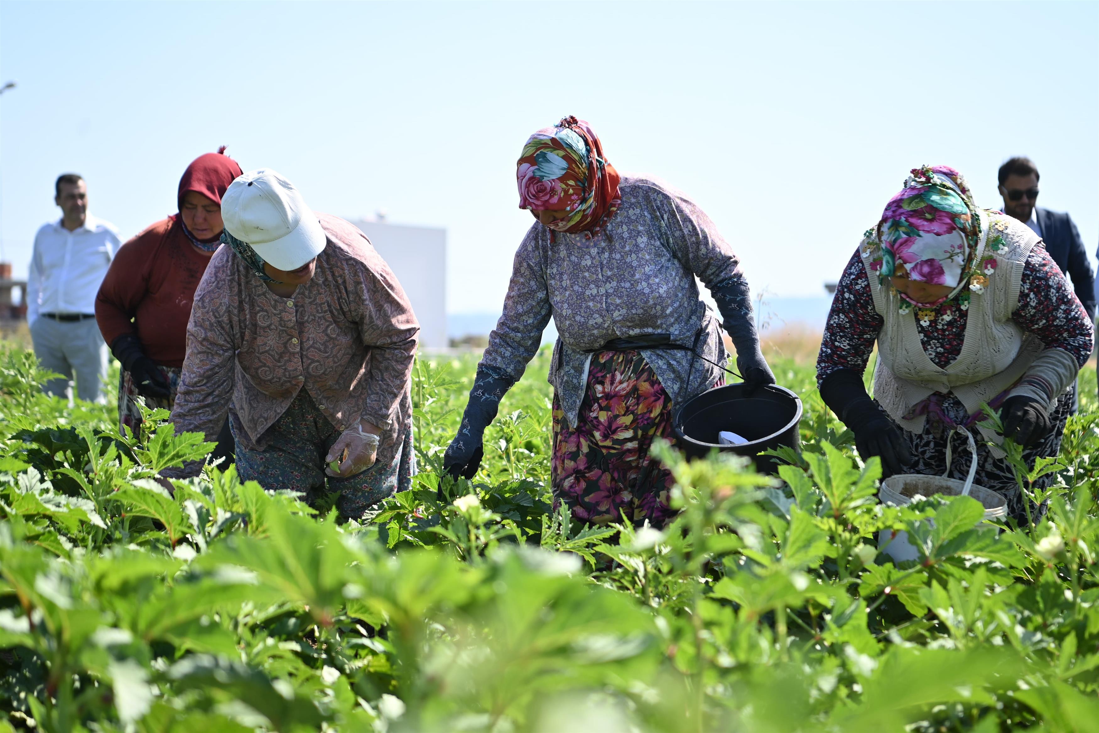 Balıkesir Büyükşehir Belediyesi, Çiftçi Destek Projesi’ni Gömeç’ten başlattı