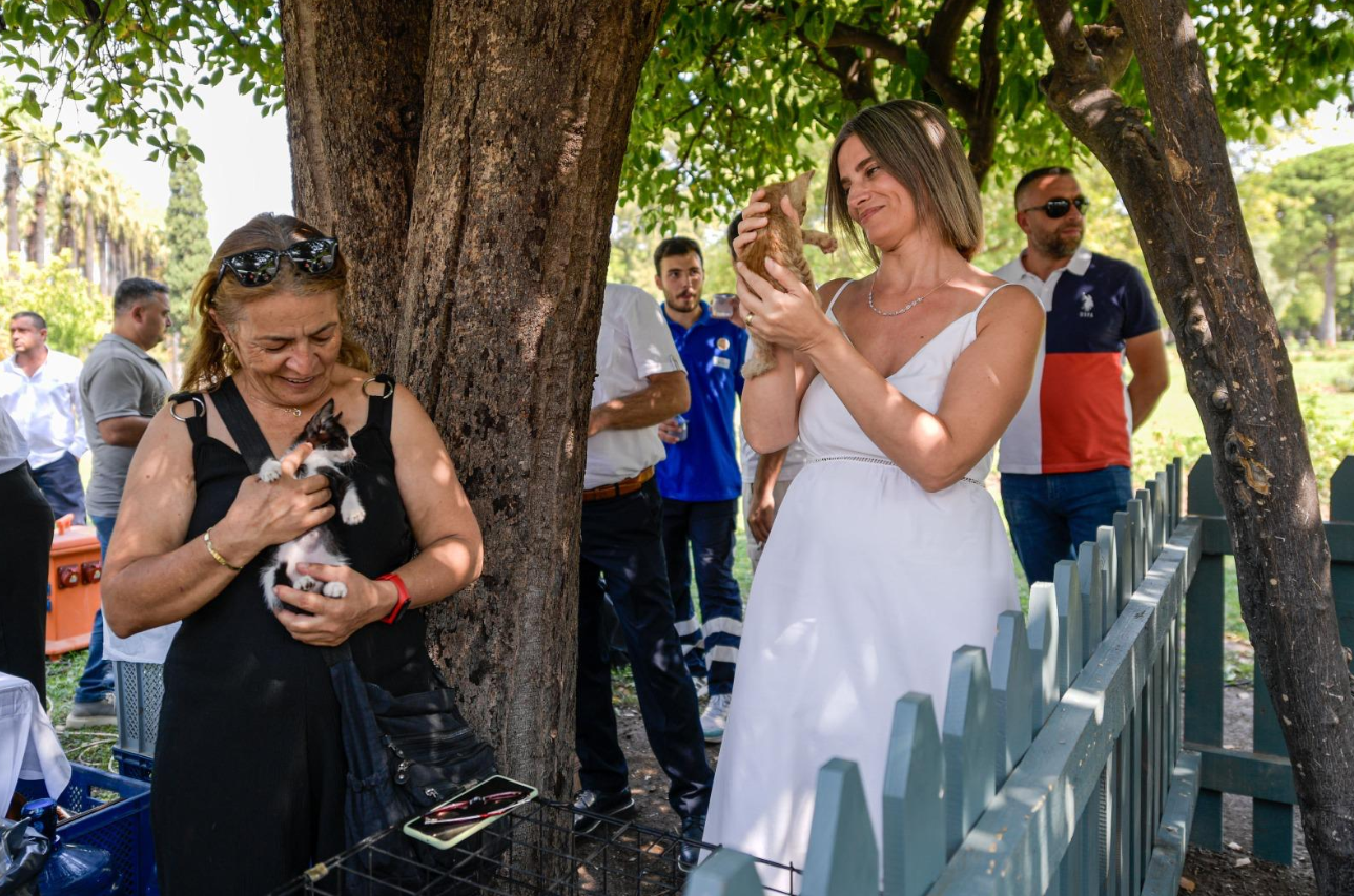 İzmir’de Patili Perşembe ile sokak hayvanları yeni yuvalarına kavuştu