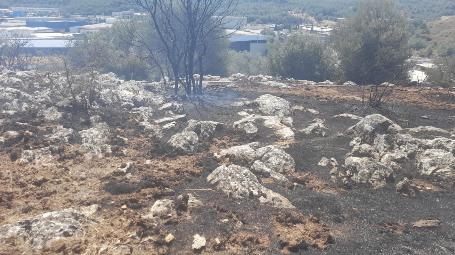 İzmir’de yangın fabrikalara ulaşmadan kontrol altına alındı