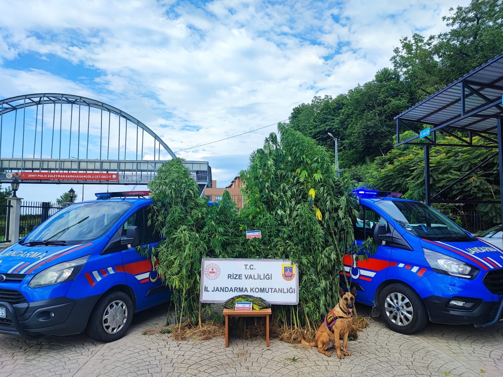 Rize’de temmuz ayı asayiş verilerini açıklandı