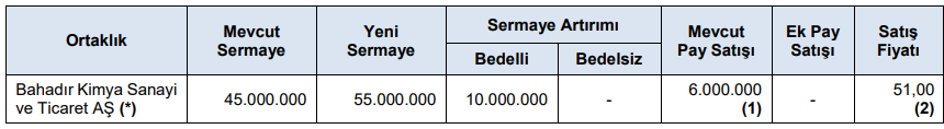 BMD Araştırma’dan SPK bülteni