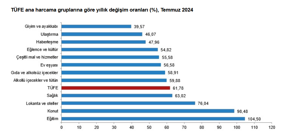 TÜİK-Tüketici fiyatları Temmuz’da yüzde 3,23 arttı, yıllık enflasyon yüzde 61,78 oldu