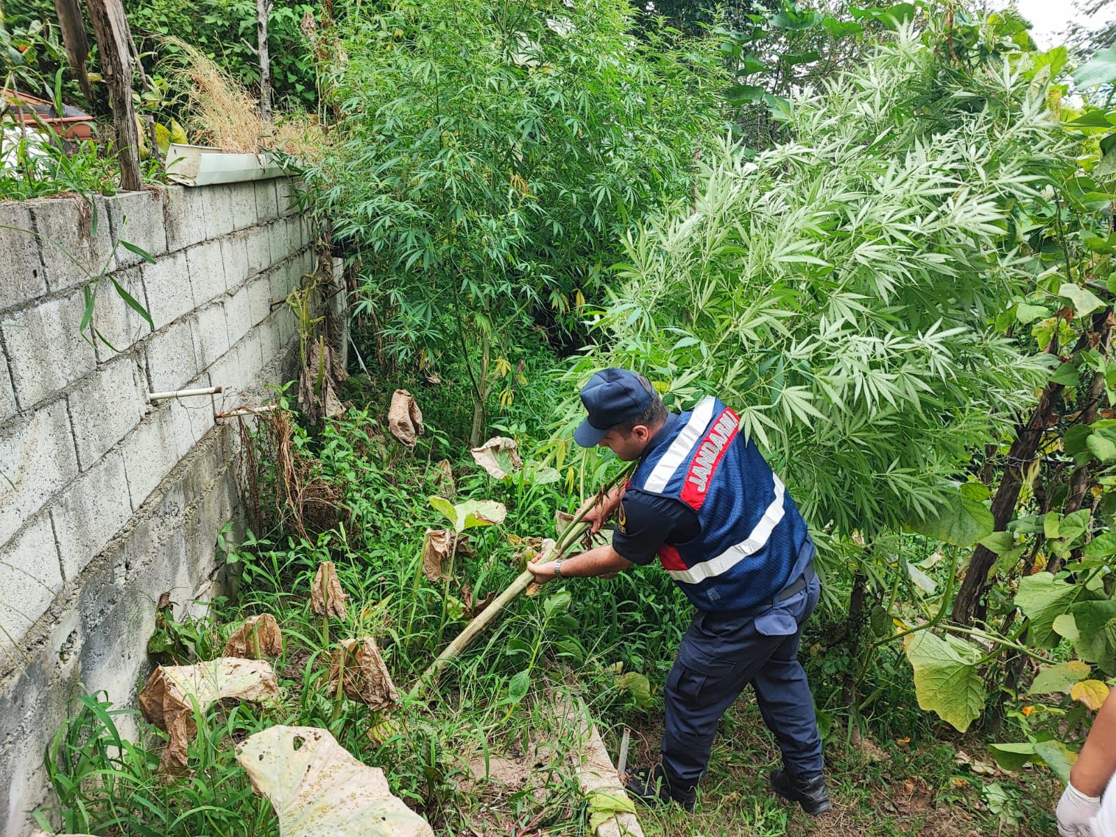 Rize’de uyuşturucu operasyonu