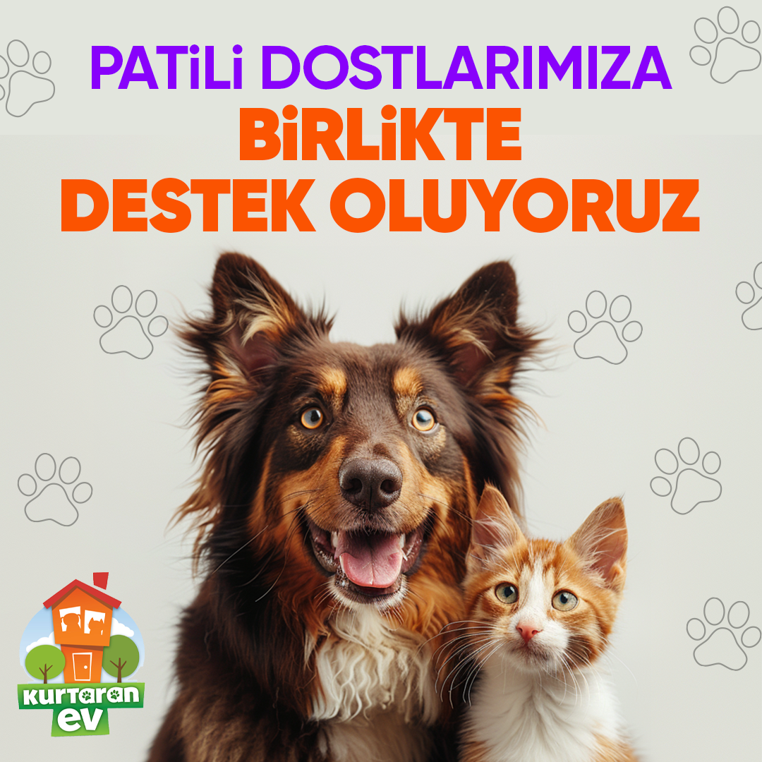 Hepsiburada, Dünya Köpek Günü’nde Patili Dostlara Destek sayfasını açıyor