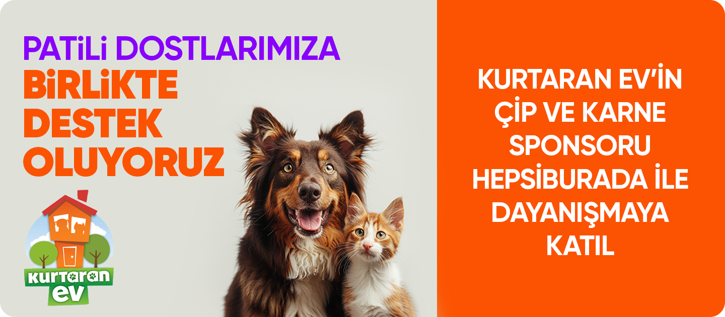 Hepsiburada, Dünya Köpek Günü’nde Patili Dostlara Destek sayfasını açıyor