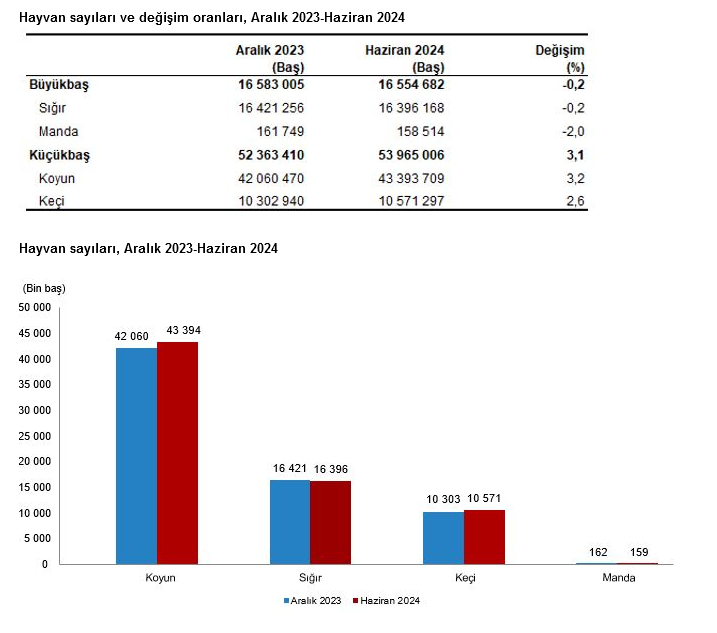 TÜİK – Büyükbaş hayvan sayısı Haziran’da 16,5, küçükbaş hayvan sayısı 53,9 milyon oldu