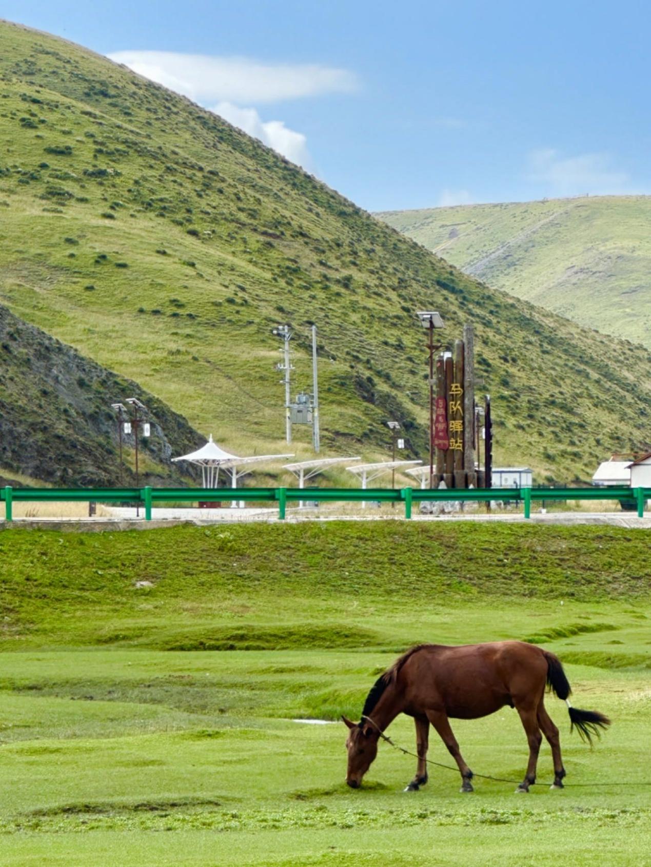 Gannan Tibet Özerk Bölgesi’nde hayvancılık ve turizm kırsal bölgeyi canlandırıyor