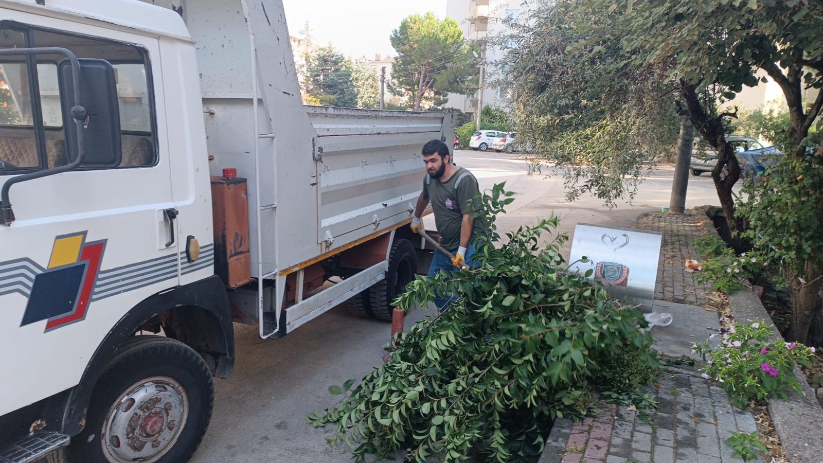 Orhangazi Belediyesinden dal toplama çalışmaları