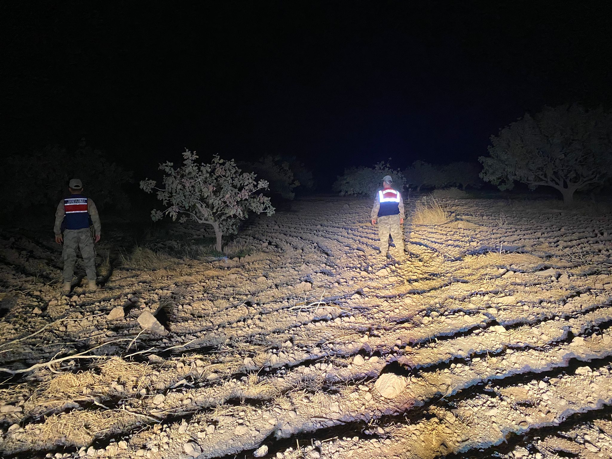 Şanlıurfa’da fıstık hırsızlıklarına karşı 24 saat kesintisiz devriye