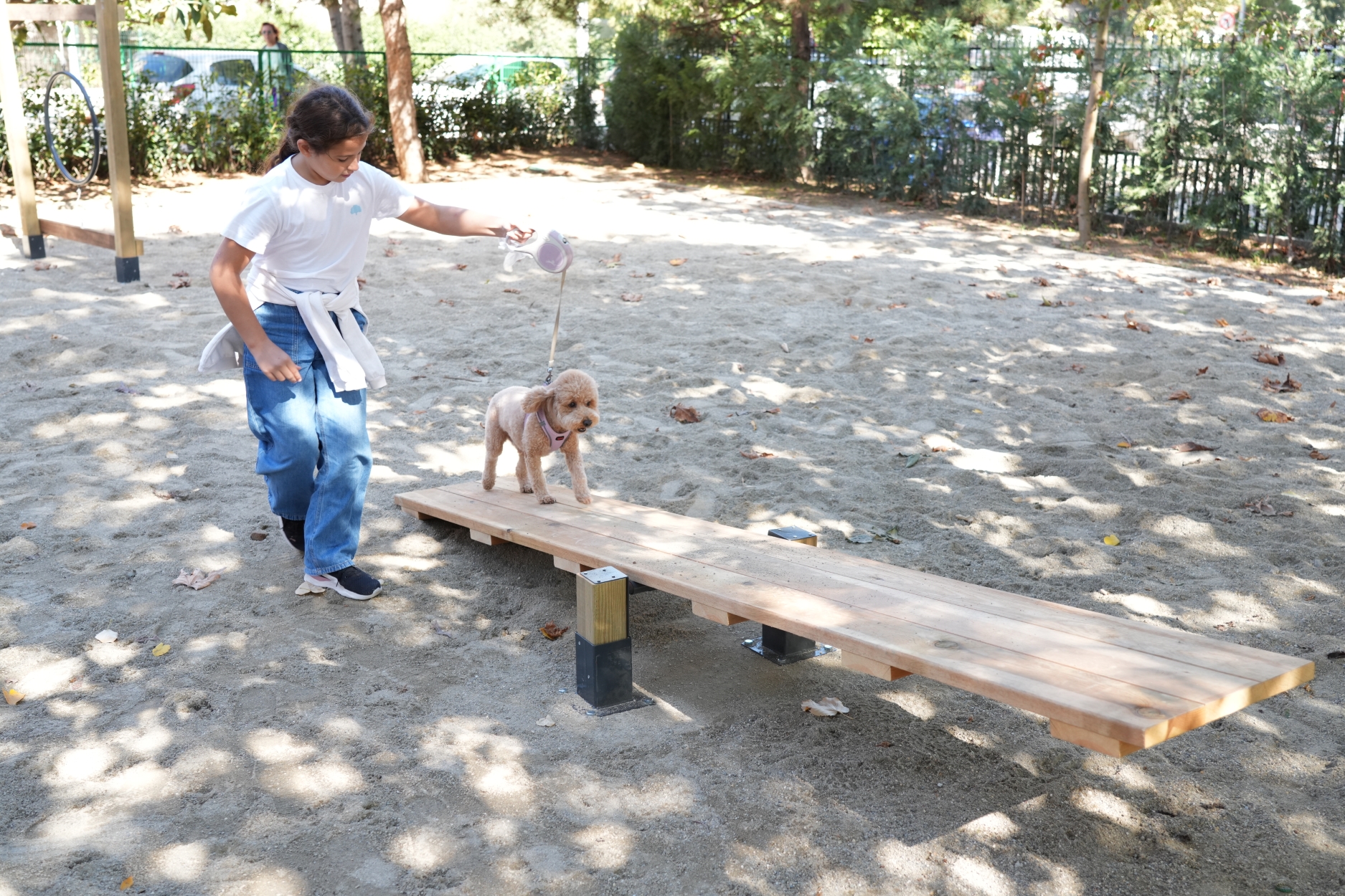 Hayvanları Koruma Günü’nde Kadıköy’de “Pati Park” açıldı