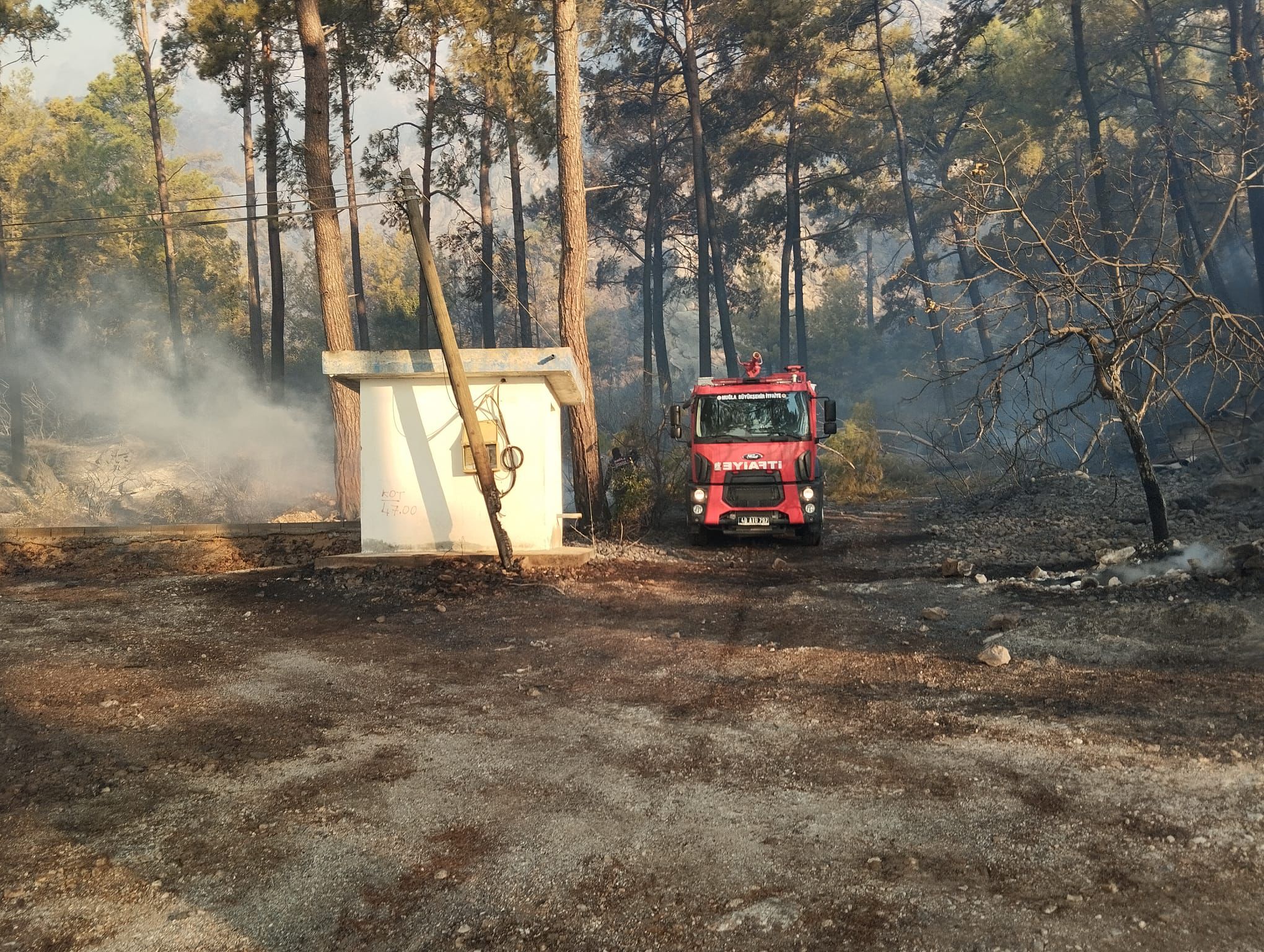 Muğla Büyükşehir, orman yangınlarına karşı mücadelesini sürdürüyor