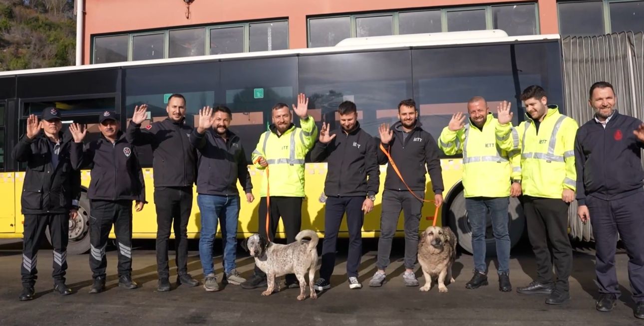 İETT, 3 garajı için 5 sokak hayvanını sahiplendi