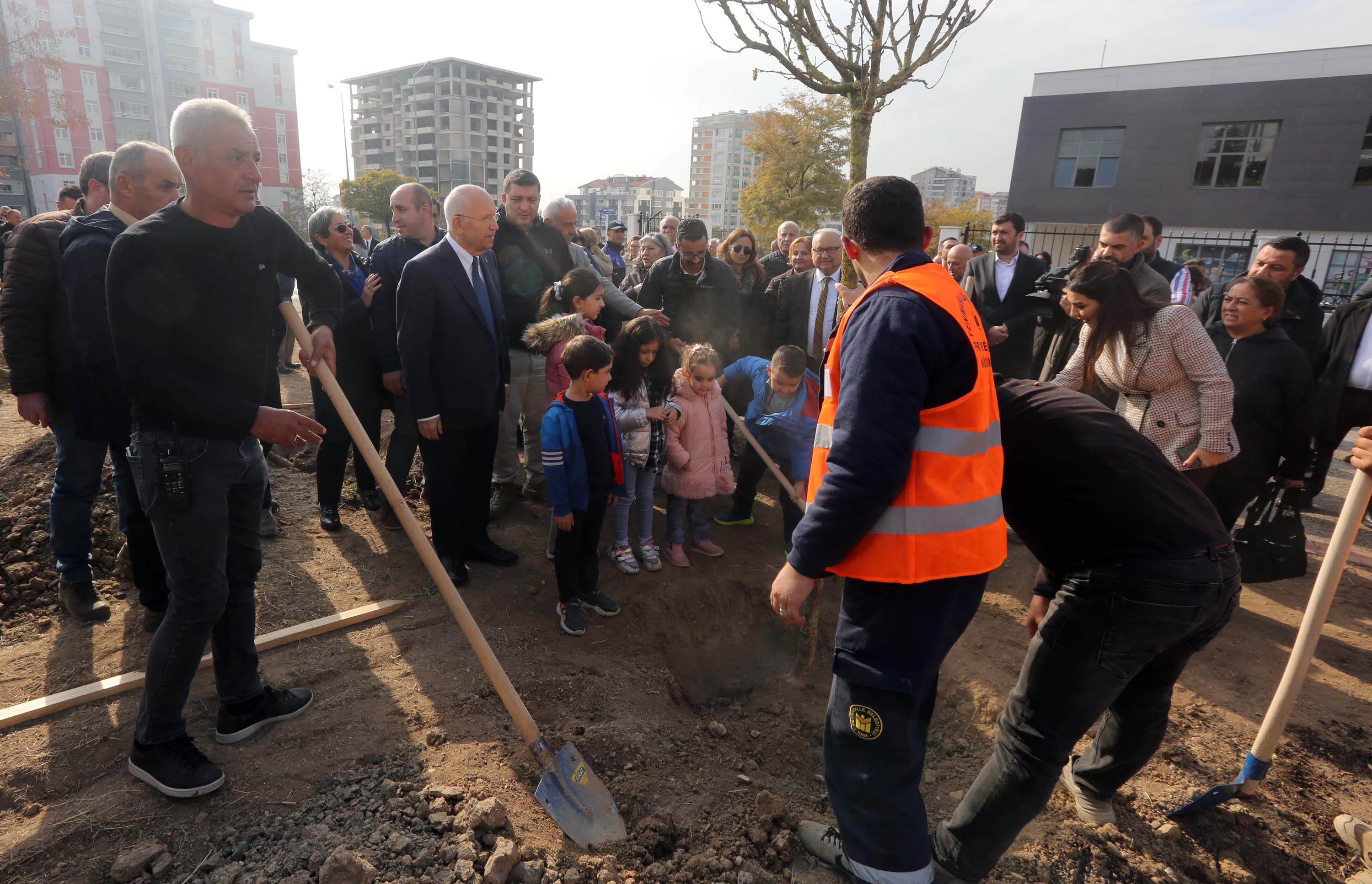 Yenimahalle’de yüzlerce ağaç toprakla buluştu