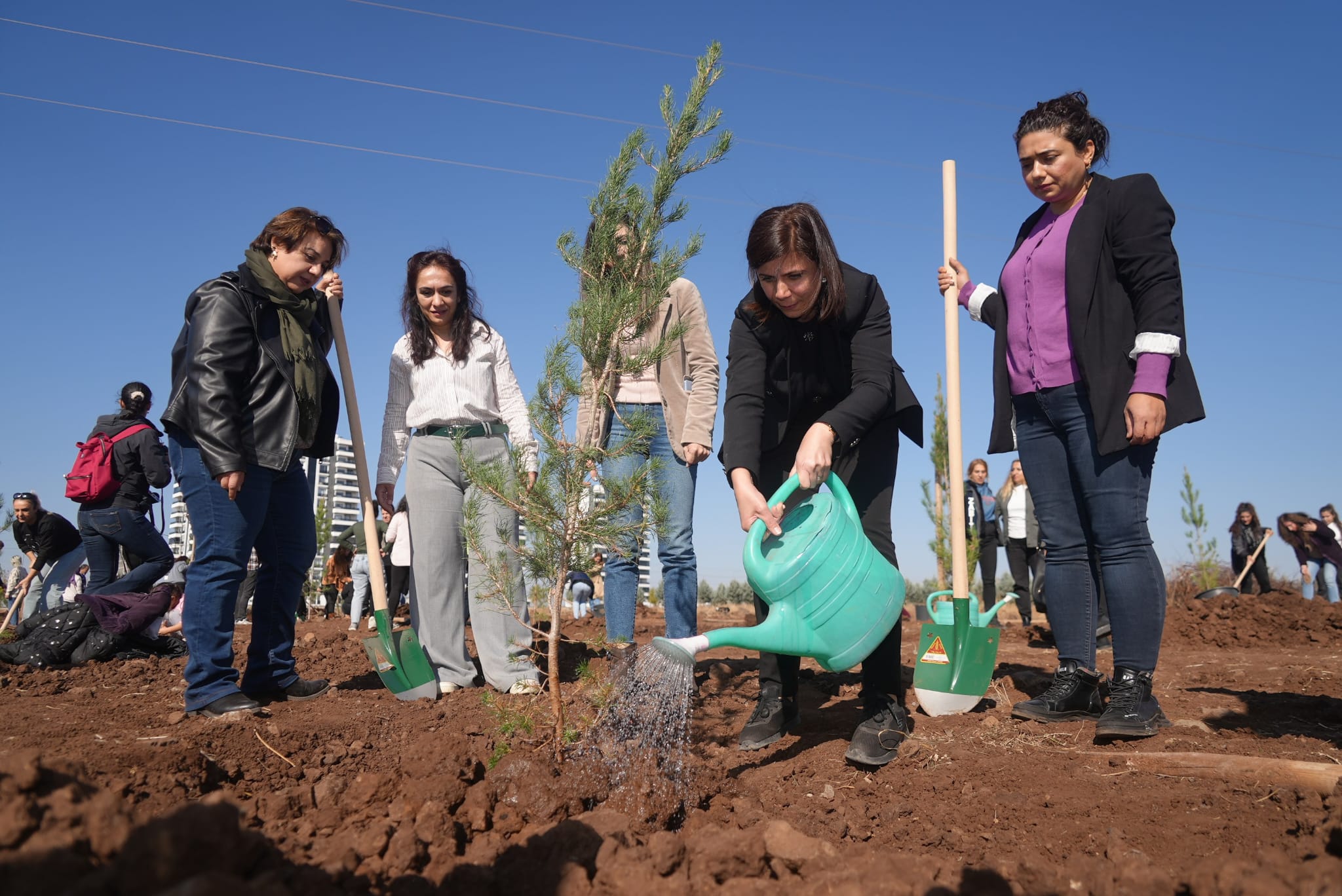 Eş Başkan Bucak, kadınlarla birlikte 80 fidan dikti