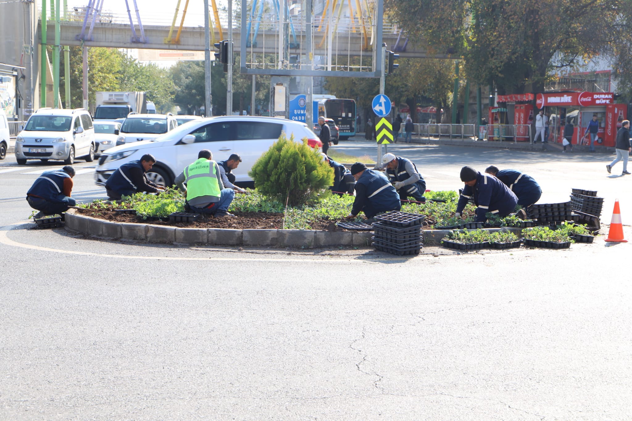 Diyarbakır’da 1 milyon çiçek toprakla buluşmaya başladı