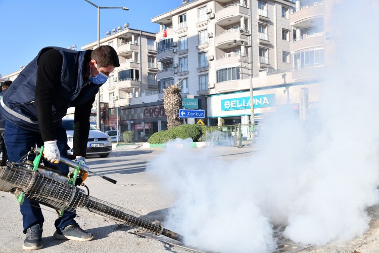 Osmaniye Belediyesi, vektörlere karşı çalışmalarını sürdürüyor