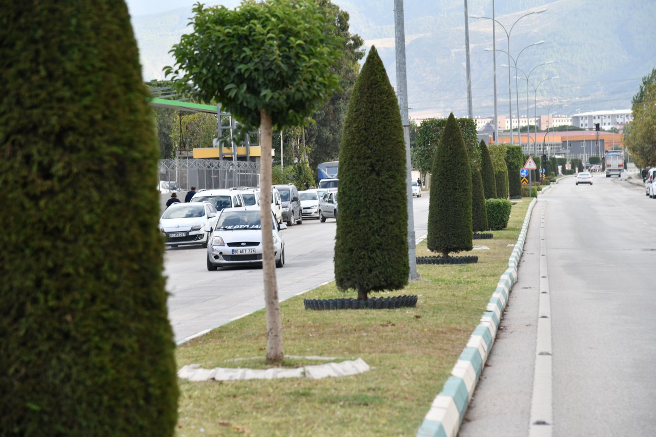 Osmaniye Belediyesi ekipleri, ağaç dikim çalışmalarını sürdürüyor