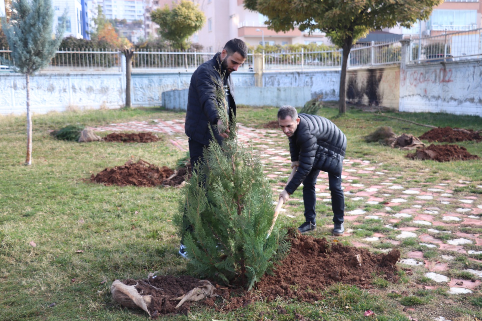 Siirt Belediyesinden ağaçlandırma etkinliği