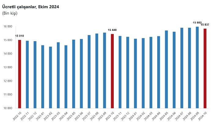 TÜİK – Ücretli çalışanlar Ekim’de yıllık yüzde 2,5 artışla 15, 83 milyon kişiye yükseldi