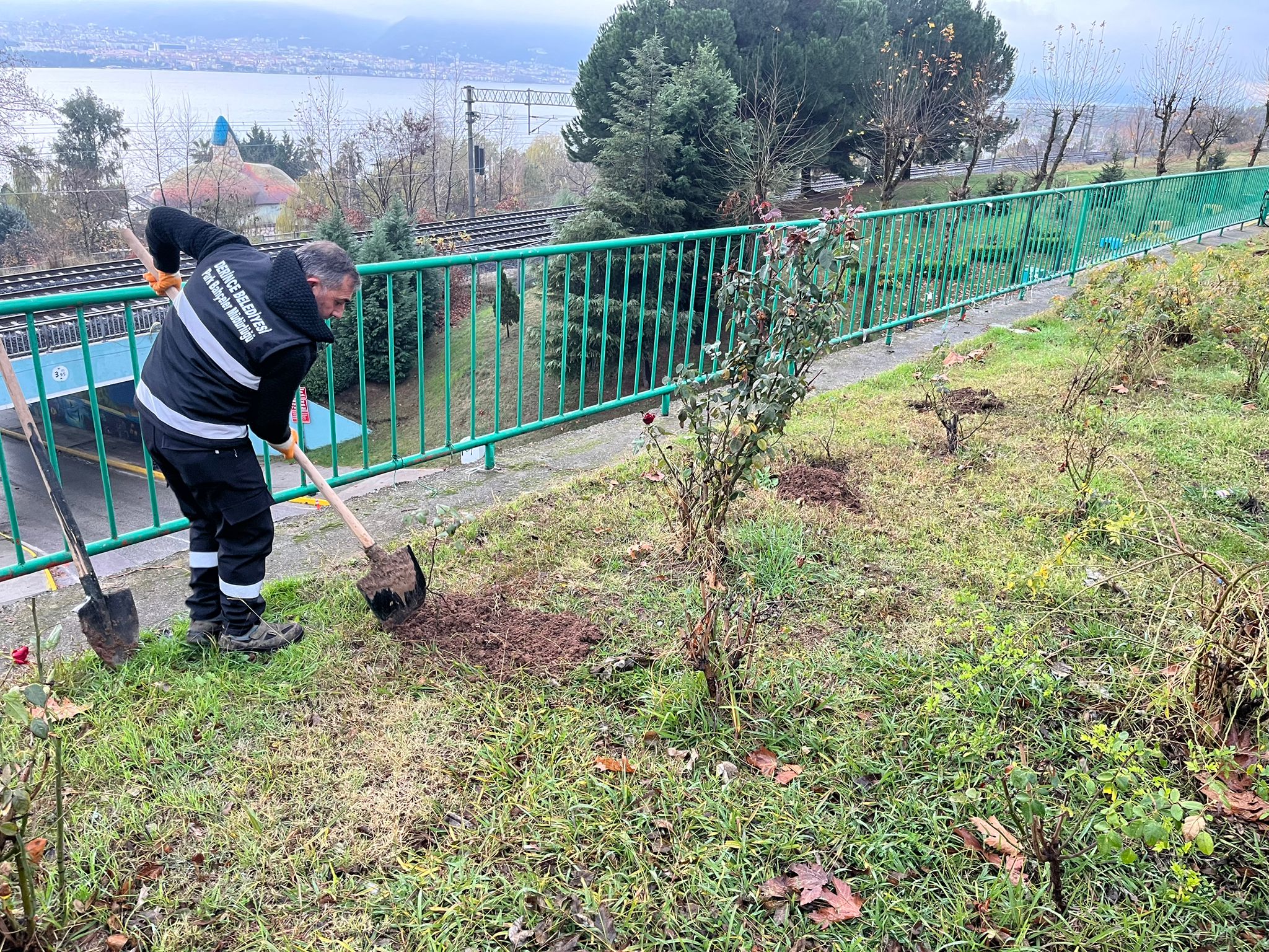 Derince Belediyesi ekipleri yeşil alanlar ve parkların bakımlarını sürdürüyor