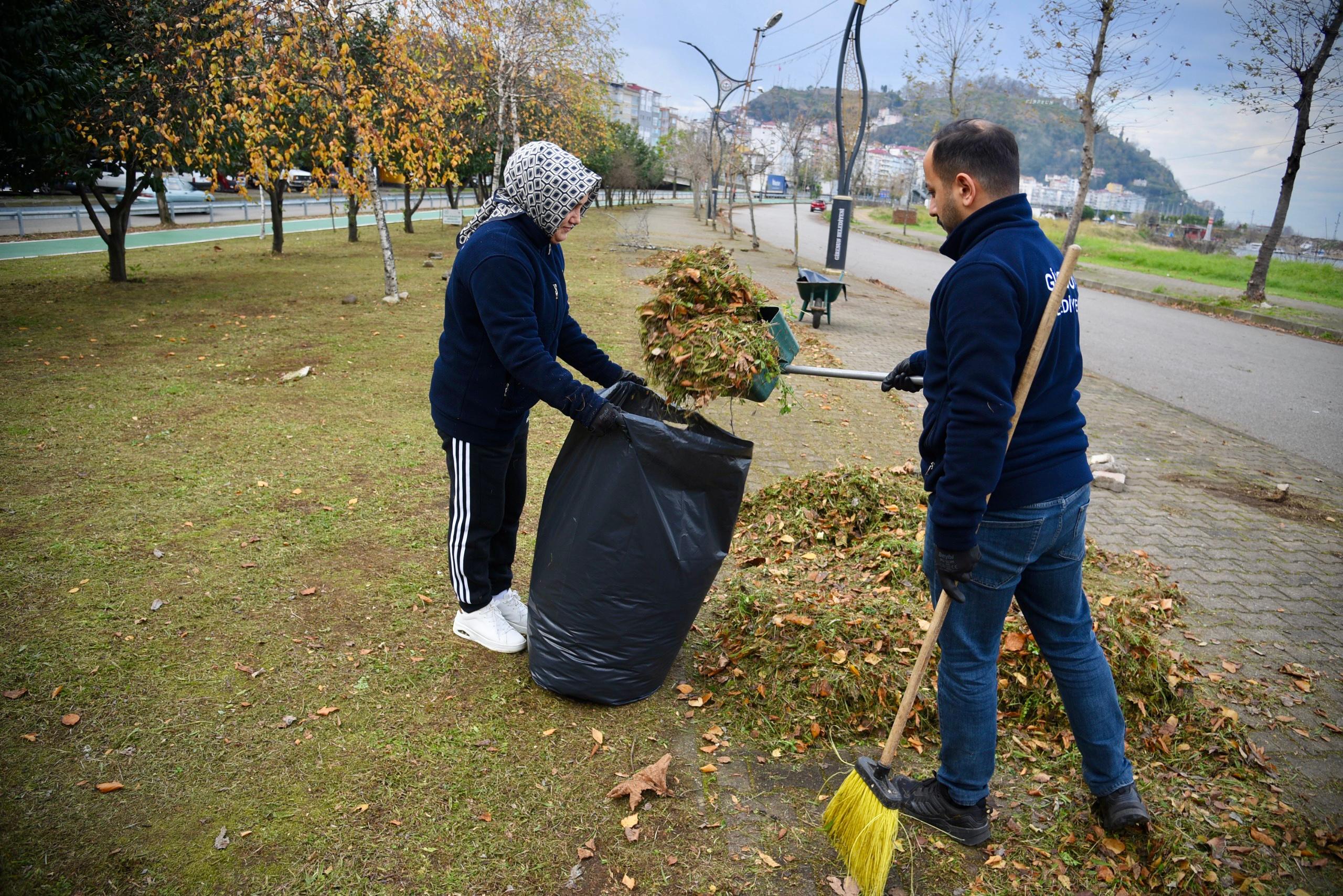 Giresun Belediyesi, ağaç budama ve temizlik çalışmalarını sürdürüyor