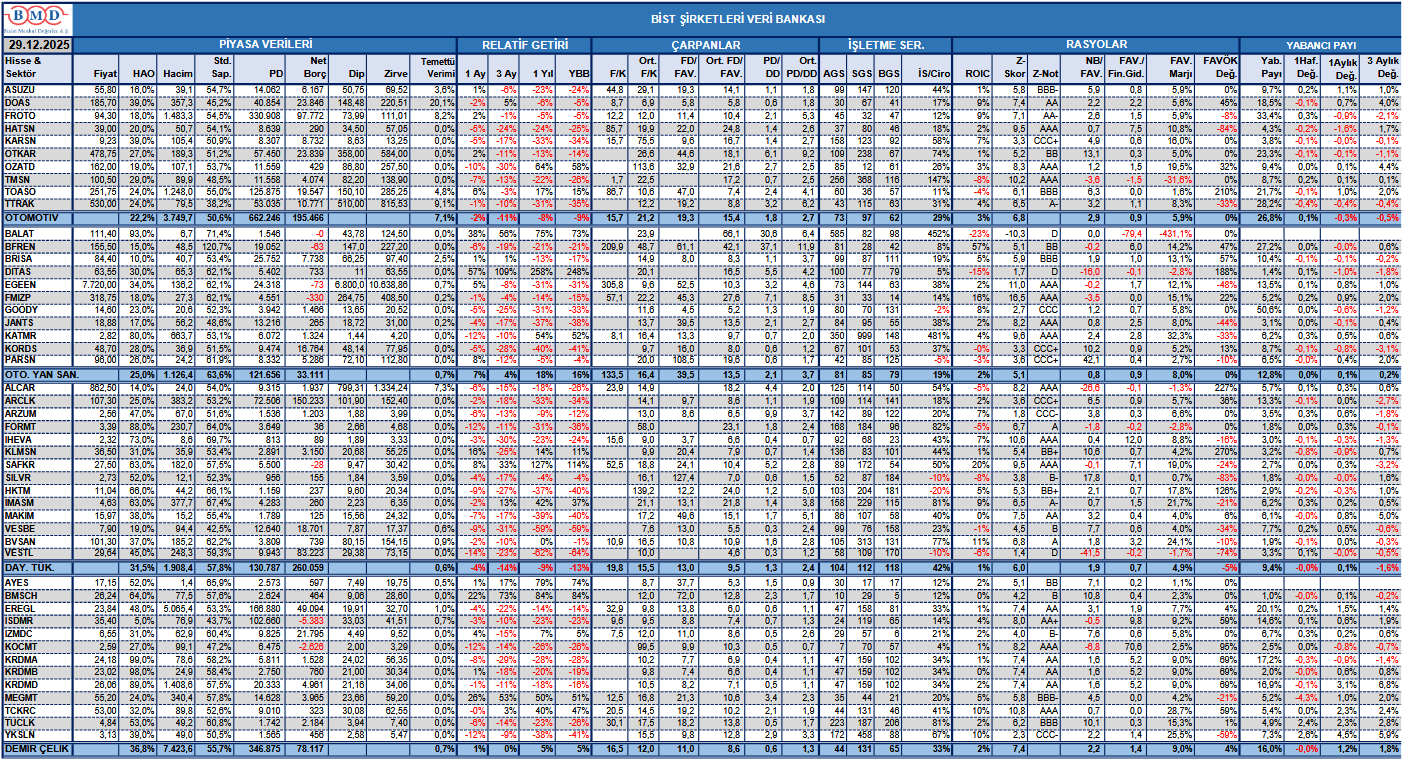 BİST şirketleri veri bankası