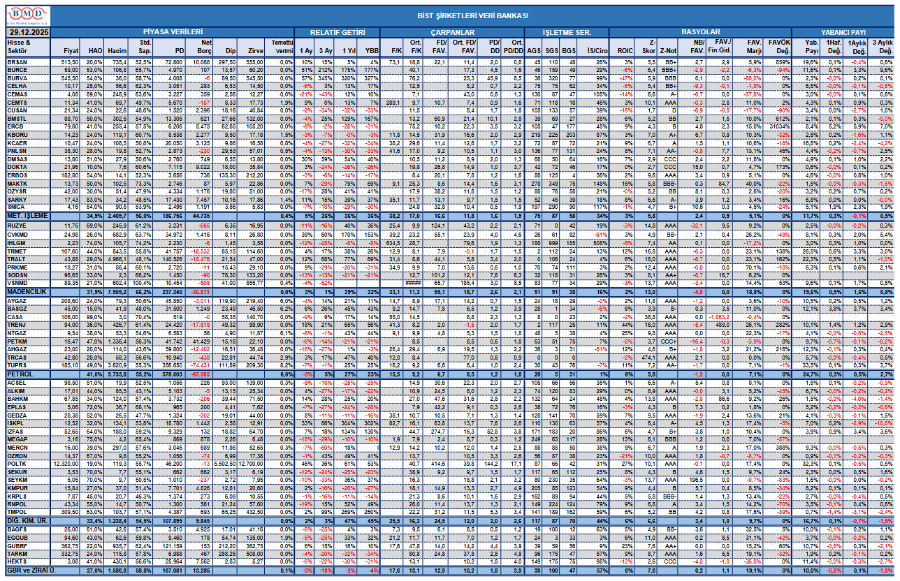 BİST şirketleri veri bankası