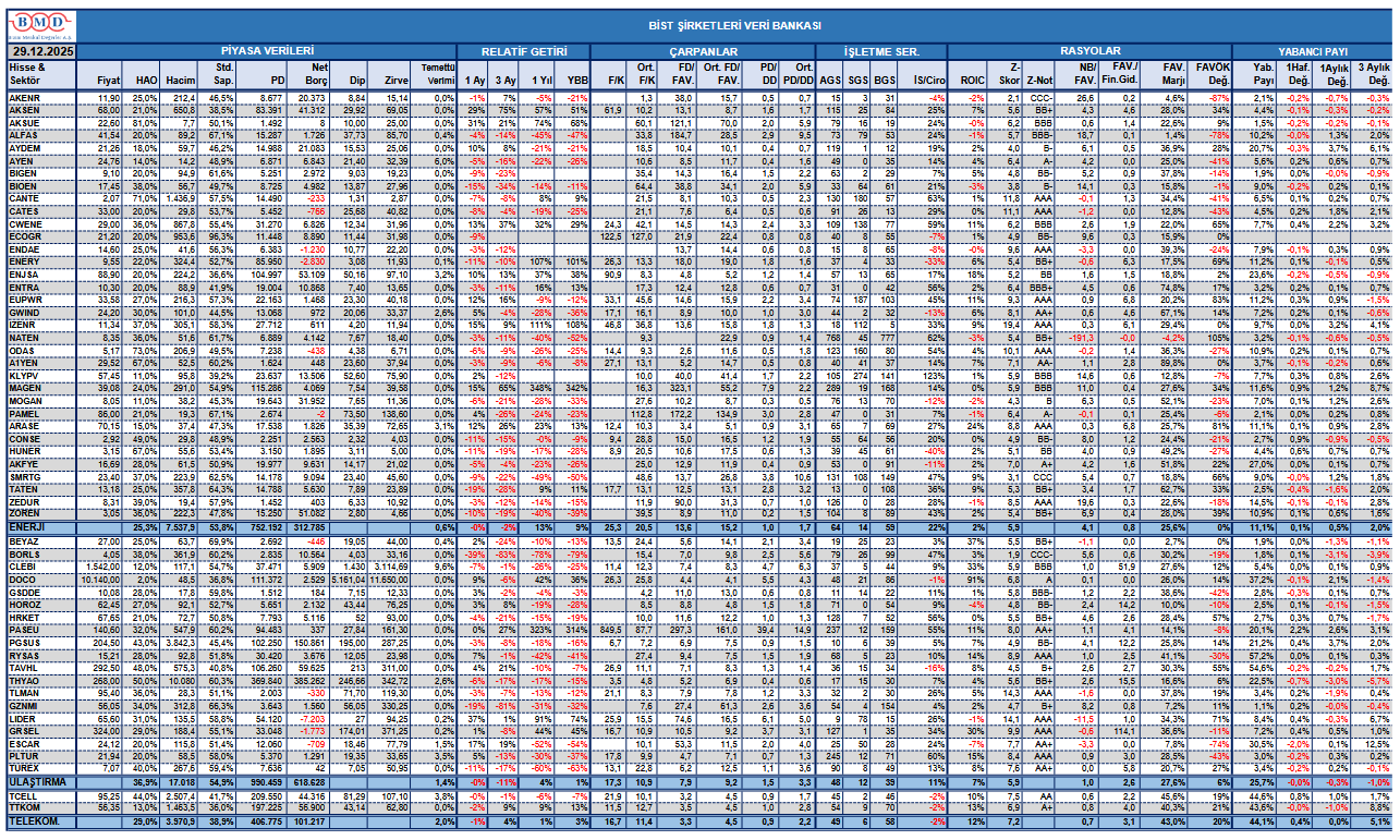 BİST şirketleri veri bankası